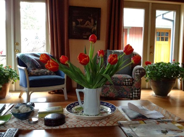 Jane and Billina kuća