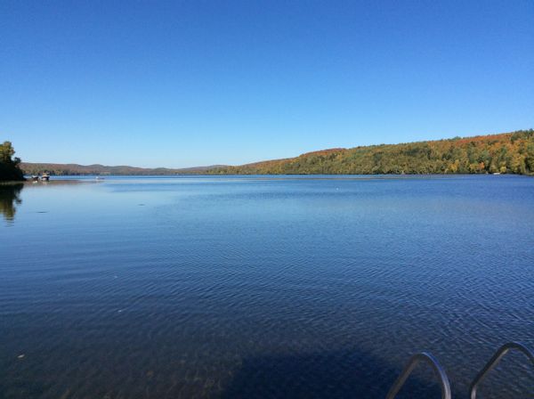 Pierre et Célines hus