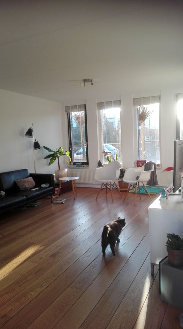 Activities like walking and cycling. Or enjoying the good city life. A lot to explore