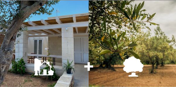 Maria Rosaria's house