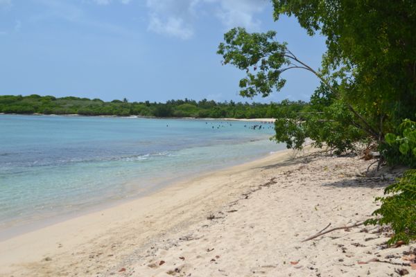 Isabelle et Tony's house