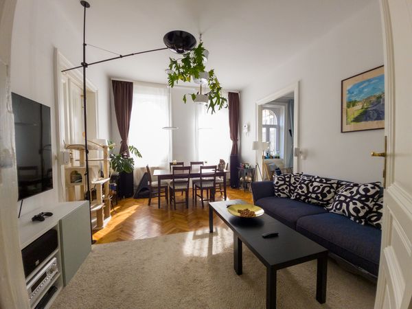 Beautiful Art Nouveau apartment with 3 cats near Schönbrunn Palace and subway U4