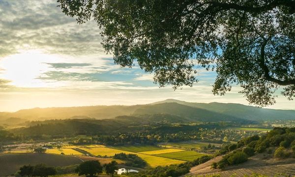 Wine Country! Close to Everything!Remodeled 2 bedroom 2 bath + den home in the Heart of Sonoma Ca.