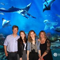 Swiss Chalet near Klosters / Davos skiresort