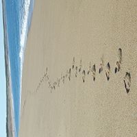 Spacious + comfortable house in the countryside near Vienna