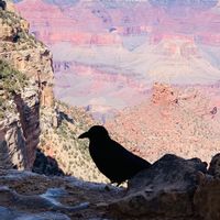 Marian and Joe's AZ Mountain Home