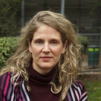 2 charming apartments in the centre of Vienna;  extra garden house / bungalow