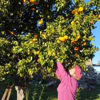 Dominique et Jean-Françoiss hus