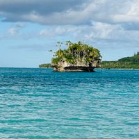 camille.felicite@hotmail.frs hus