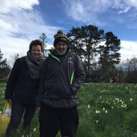 Country orchard near Wellington