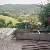 Mélanie et Jeffs hus