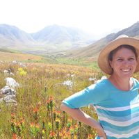 Sue's cottage in the Isle of Man