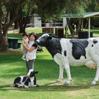 New fully furnished apartment located at Level 30 Symphony Tower with 3R2B in Kuala Lumpur Malaysia