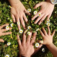 Emmanuelle & Sébastiens hus