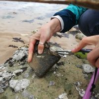 Famille⛵Trompailleina kuća