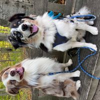 Lighthouse on The Galien
