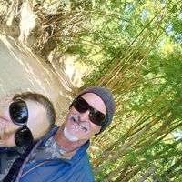 Bruno e Patricias hus