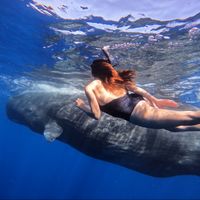 Villa, 10 minute walk from the beach