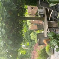 A perfect luxury family home, nearby Amsterdam/ Utrecht/Arnhem. Nearby woods, mountainbike trails.