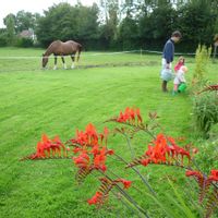 Normandy countryside family house
