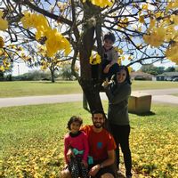 Large open family home