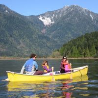 Centrally Located Large Family Vancouver Home