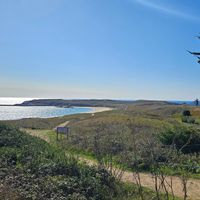 Stephanie et Vincents hus