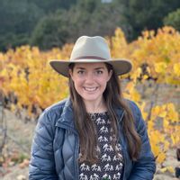 Cabin in the Forest of Park City