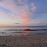 Francki et Sylvies hus