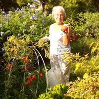 60 sqm apartment with nice view on the sea - 5 days minimum