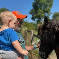 Marie-Pierre Alains hus