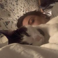 Chris and Saars energy neutral house build 1906