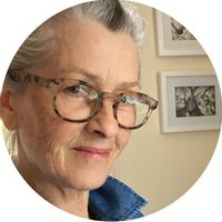 Light-filled apartment in Canberra's leafy Inner South