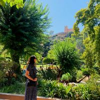 Bach et sa familles hus