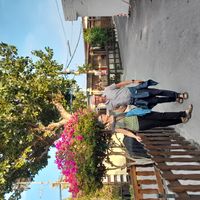 Gemütliche, helle Wohnung in Bern, zentrumsnah