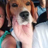 Ernest y Flor s Haus