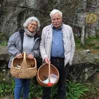 Danish summerhouse close to beaches