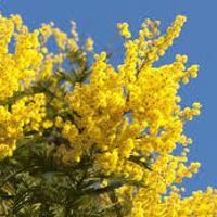 Apartment near Barcelona & beach