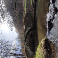 MARIE HÉLÈNE s Haus