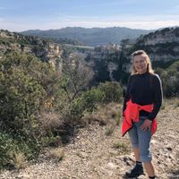 Esther's tiny House by the woods and dunes, 45 km from Amsterdam