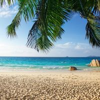 ADRIANA MONICA s Haus