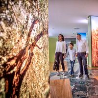 Maria Assumpció's house