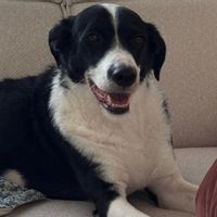 Cozy Family Home in Sittard, Near Nature & City Center