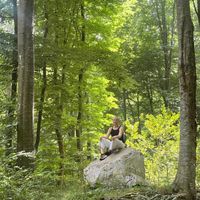 Nice appartment in a town on the coast, 25 km north from Barcelona