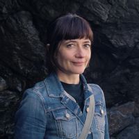 Beautiful sunny and quiet 2 bedroom apartment surrounded by trees in Boston