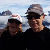 Tranquil new home in Green oasis near lovely beaches in Auckland