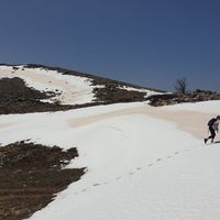 Sunny Athens apartment