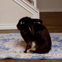 Located in between the hills of Austin, Tx, surrounded by nature and a stone's throw from the city