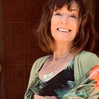 Wine Country! Close to Everything!Remodeled 2 bedroom 2 bath + den home in the Heart of Sonoma Ca.