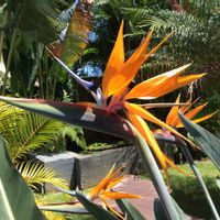 Muriel Et Christian's house